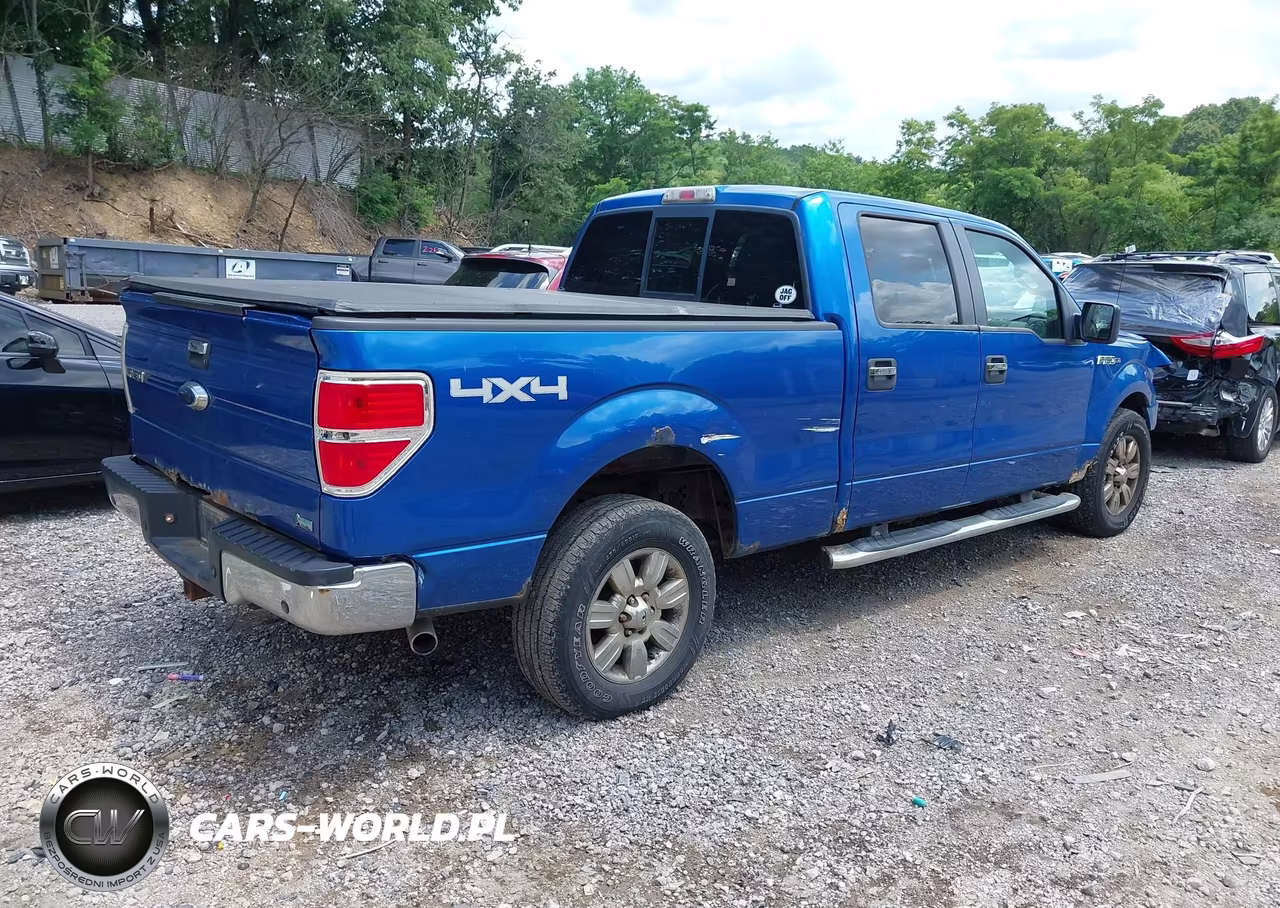 2010 Ford F-150 Fx4-Lariat-Xl-Xlt VIN:1FTFW1EV3AFC34473 - 4