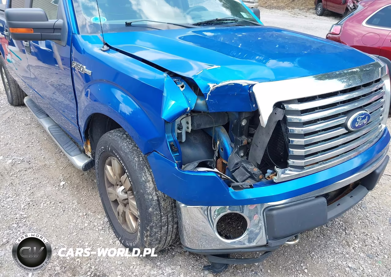 2010 Ford F-150 Fx4-Lariat-Xl-Xlt VIN:1FTFW1EV3AFC34473 - 6