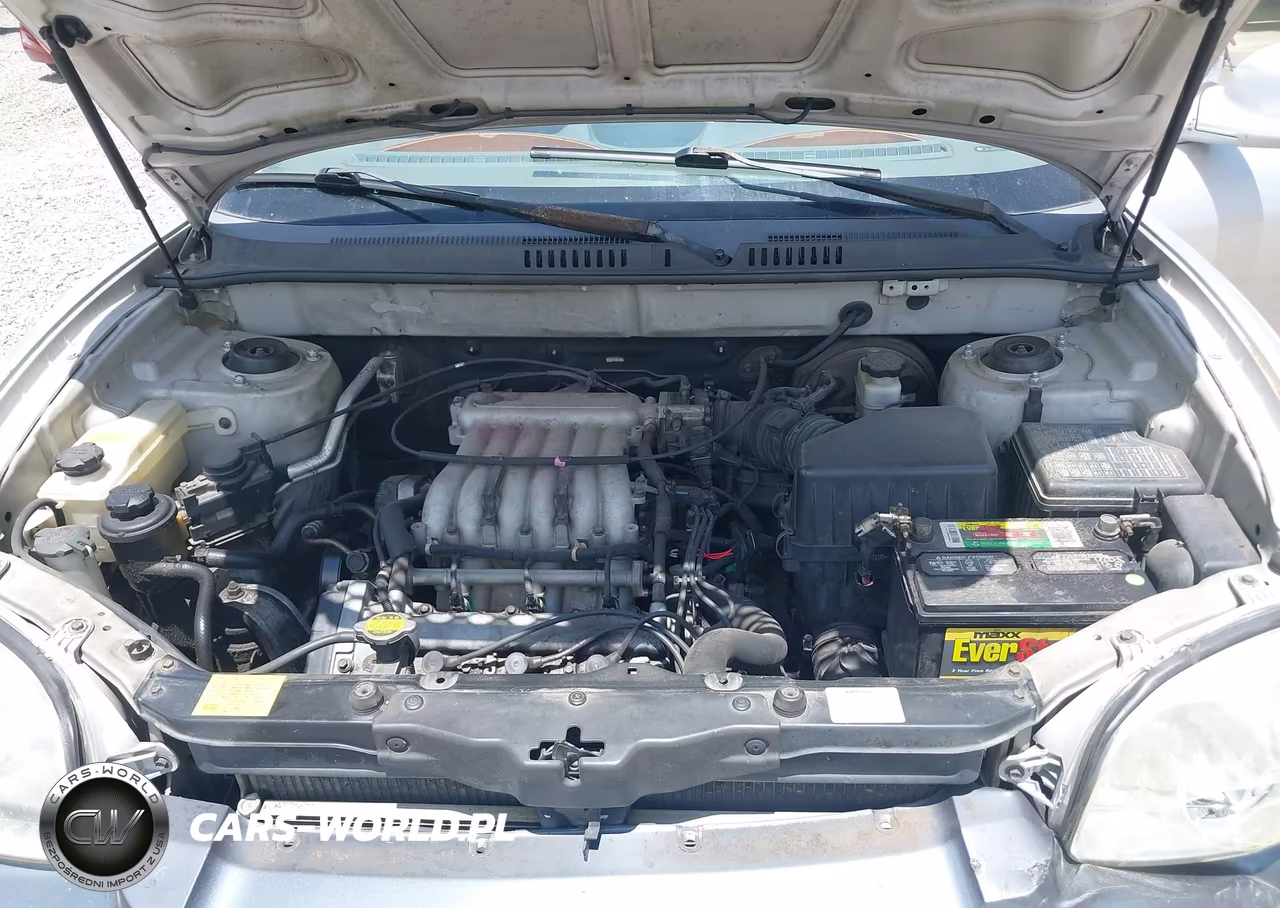 2003 Hyundai Santa Fe Gls-Lx VIN:KM8SC13D83U437175 - 10