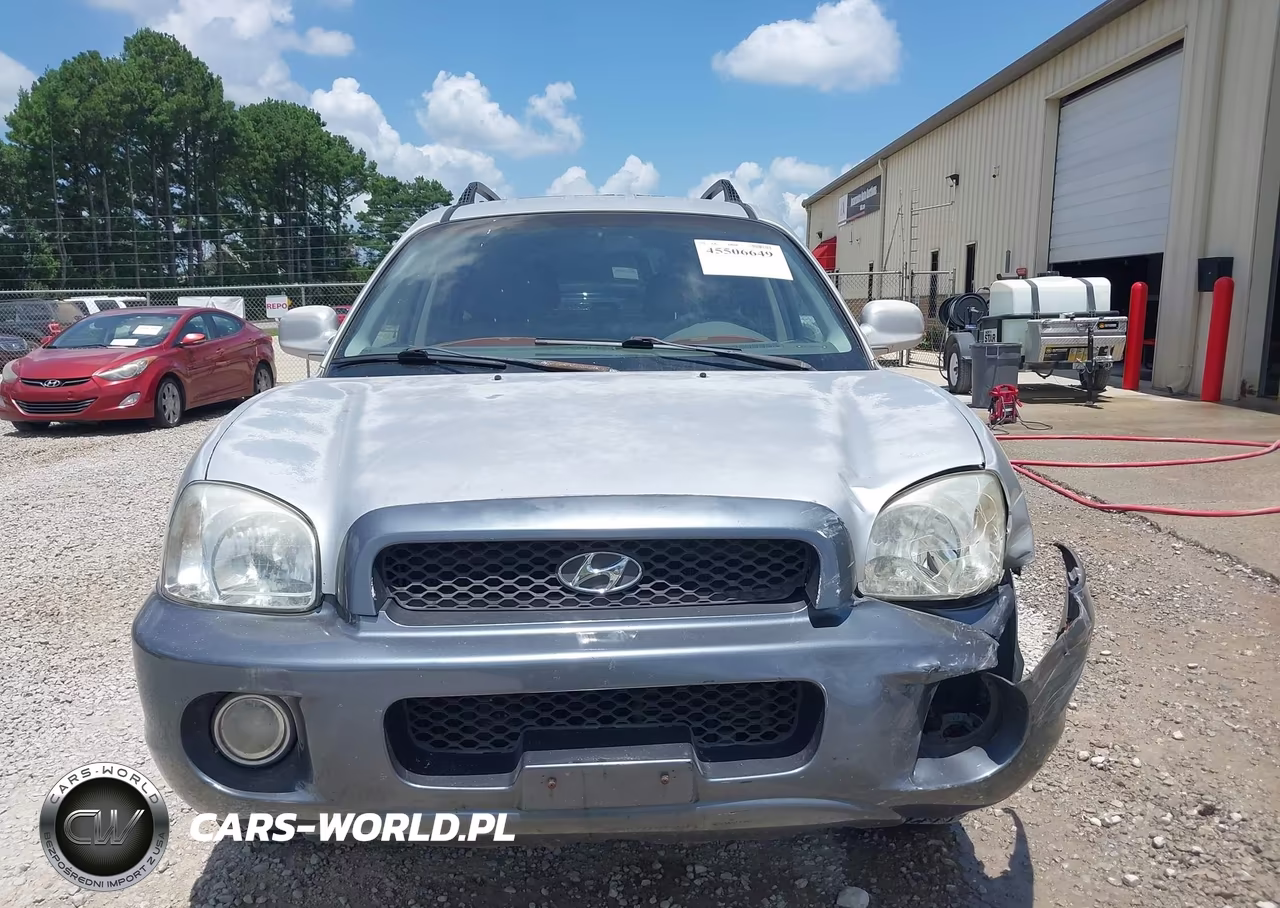 2003 Hyundai Santa Fe Gls-Lx VIN:KM8SC13D83U437175 - 12