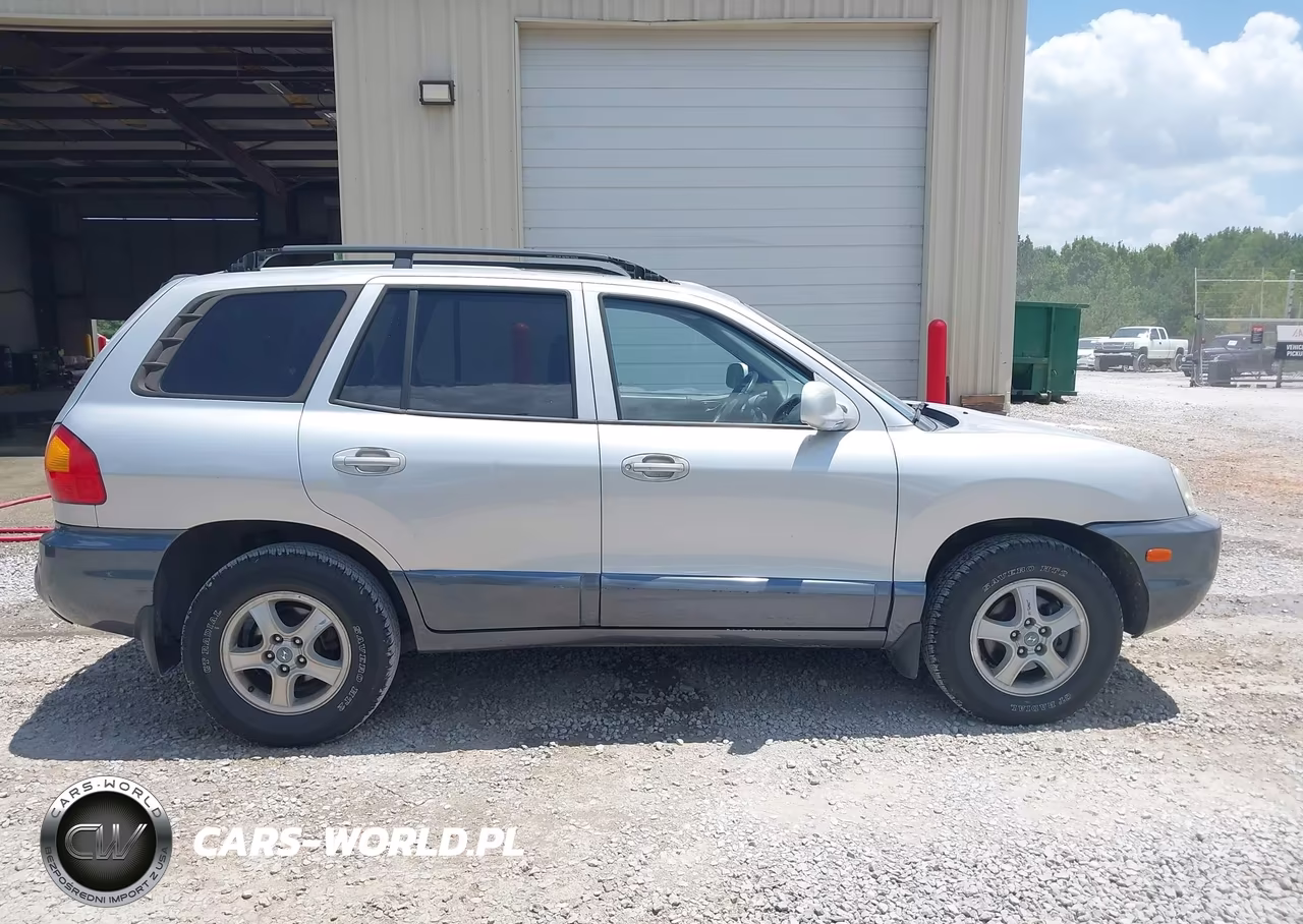 2003 Hyundai Santa Fe Gls-Lx VIN:KM8SC13D83U437175 - 13