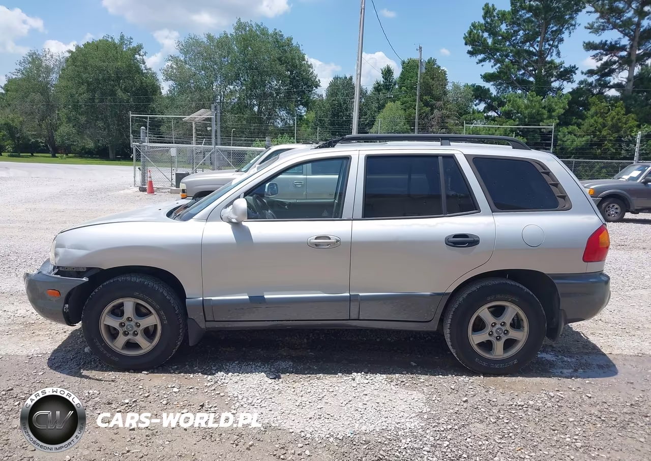 2003 Hyundai Santa Fe Gls-Lx VIN:KM8SC13D83U437175 - 14