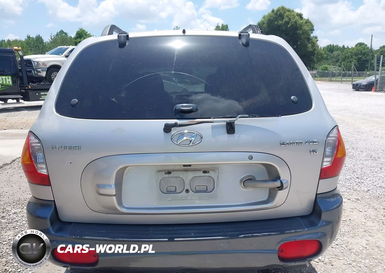 2003 Hyundai Santa Fe Gls-Lx VIN:KM8SC13D83U437175 - 16