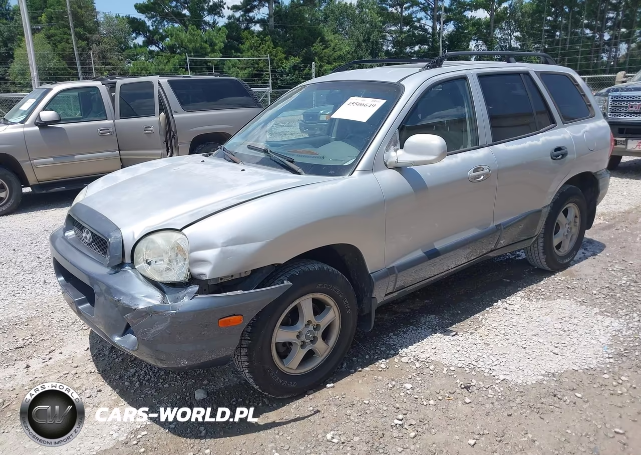 2003 Hyundai Santa Fe Gls-Lx VIN:KM8SC13D83U437175 - 2