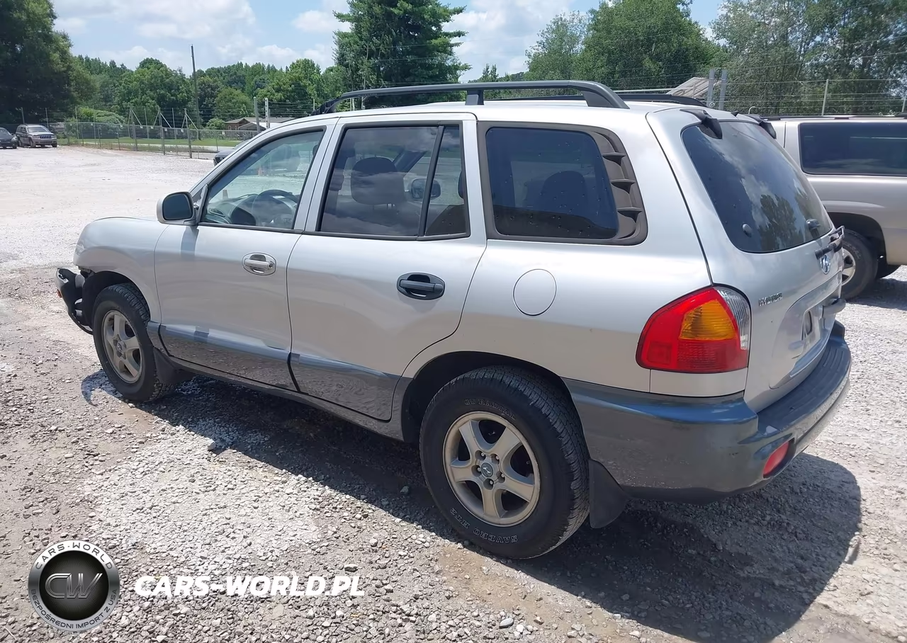 2003 Hyundai Santa Fe Gls-Lx VIN:KM8SC13D83U437175 - 3