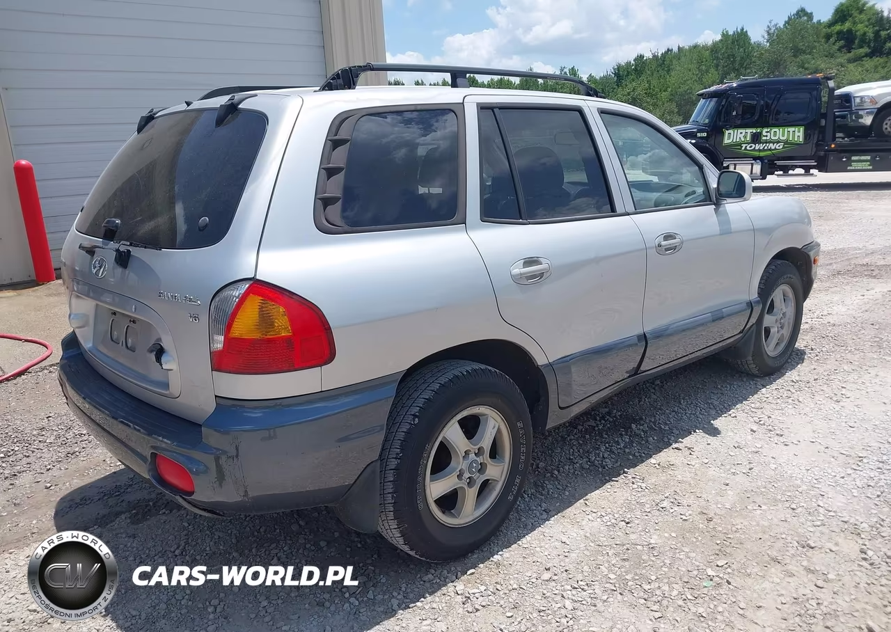 2003 Hyundai Santa Fe Gls-Lx VIN:KM8SC13D83U437175 - 4