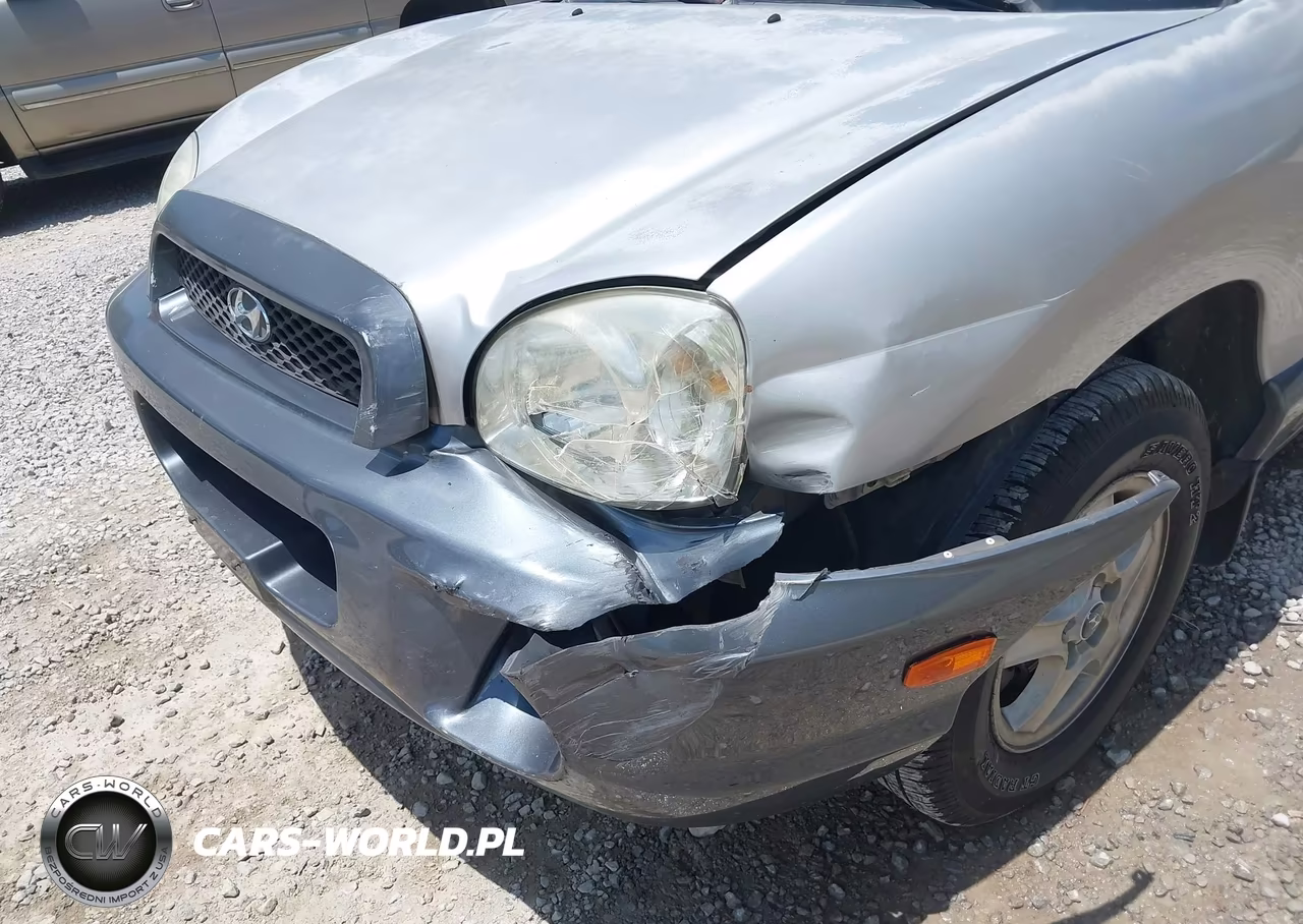 2003 Hyundai Santa Fe Gls-Lx VIN:KM8SC13D83U437175 - 6