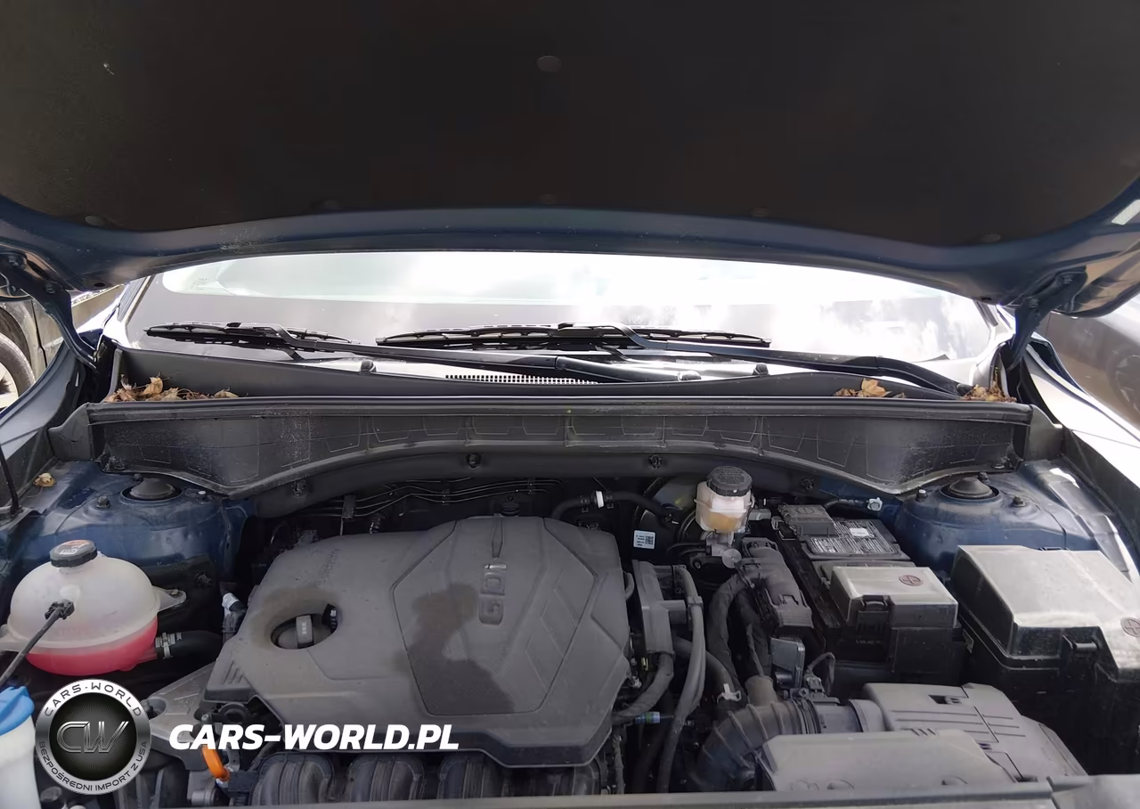 2025 Kia Sorento S VIN:5XYRLDJC4SG326234 - 10