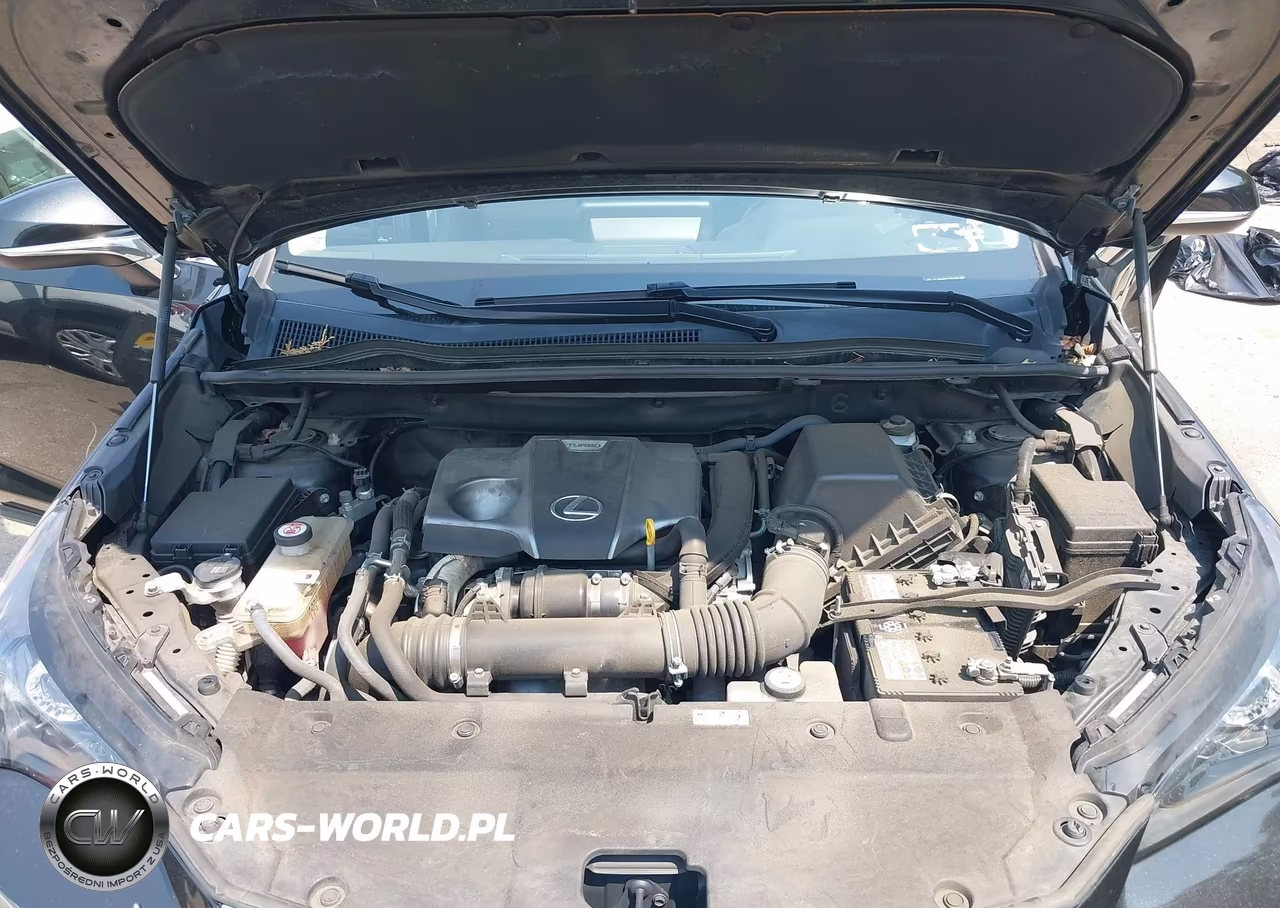 2020 Lexus Nx 300 VIN:JTJDARDZ8L5017354 - 10