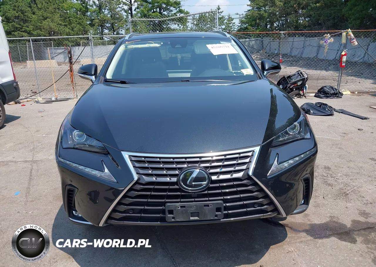 2020 Lexus Nx 300 VIN:JTJDARDZ8L5017354 - 12