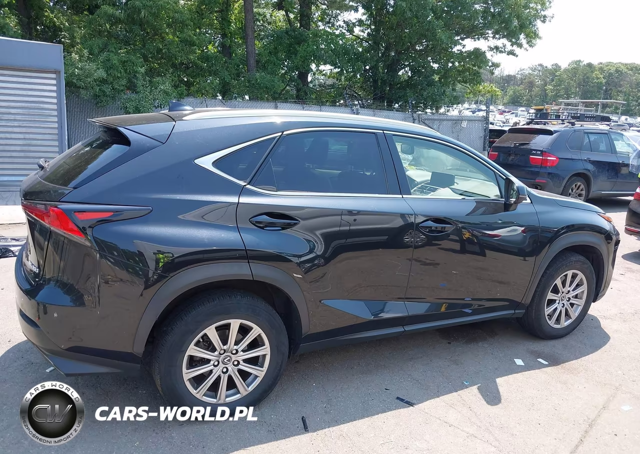 2020 Lexus Nx 300 VIN:JTJDARDZ8L5017354 - 13