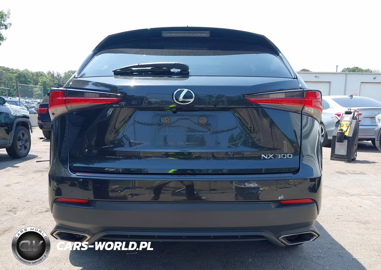 2020 Lexus Nx 300 VIN:JTJDARDZ8L5017354 - 16
