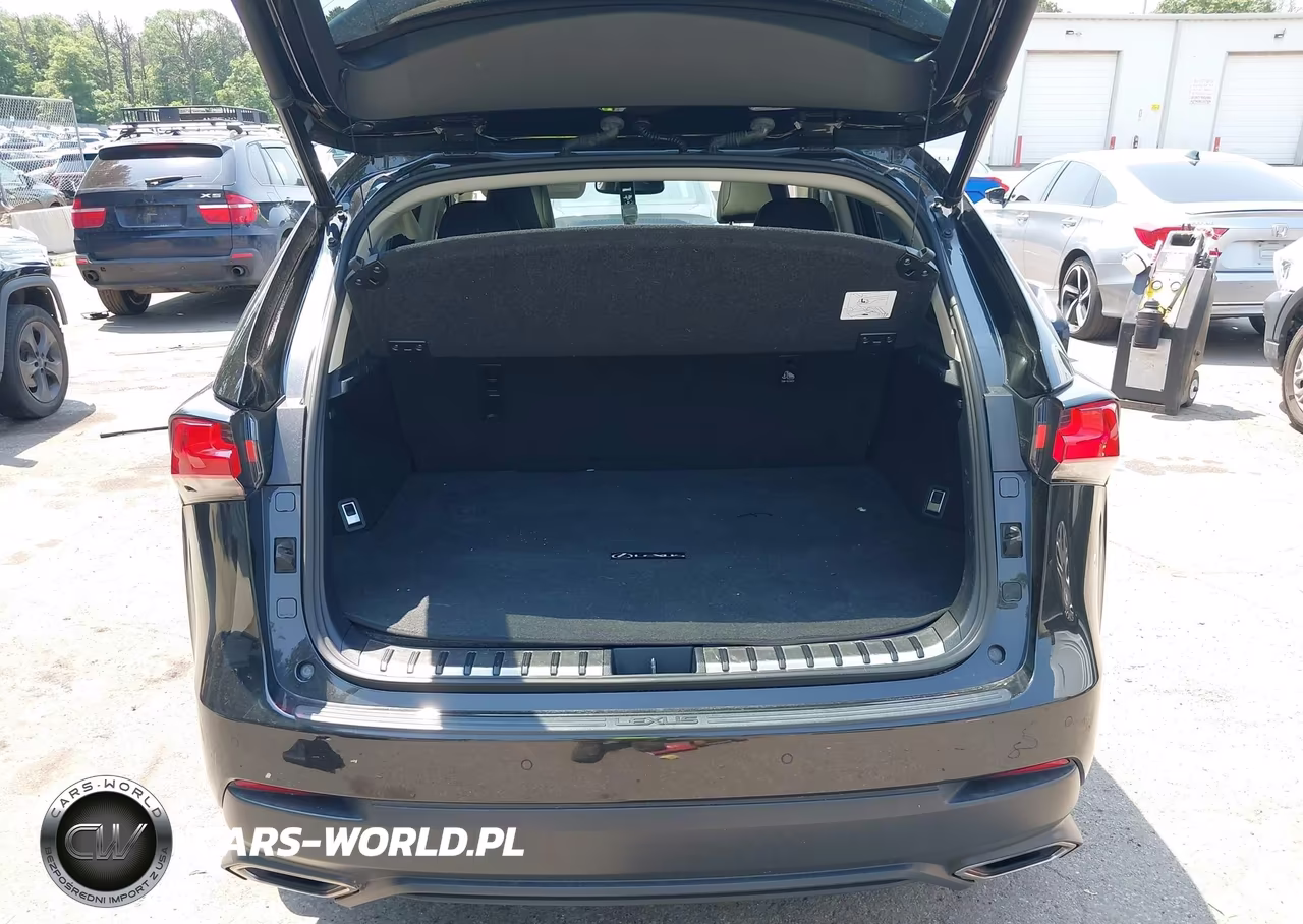 2020 Lexus Nx 300 VIN:JTJDARDZ8L5017354 - 18