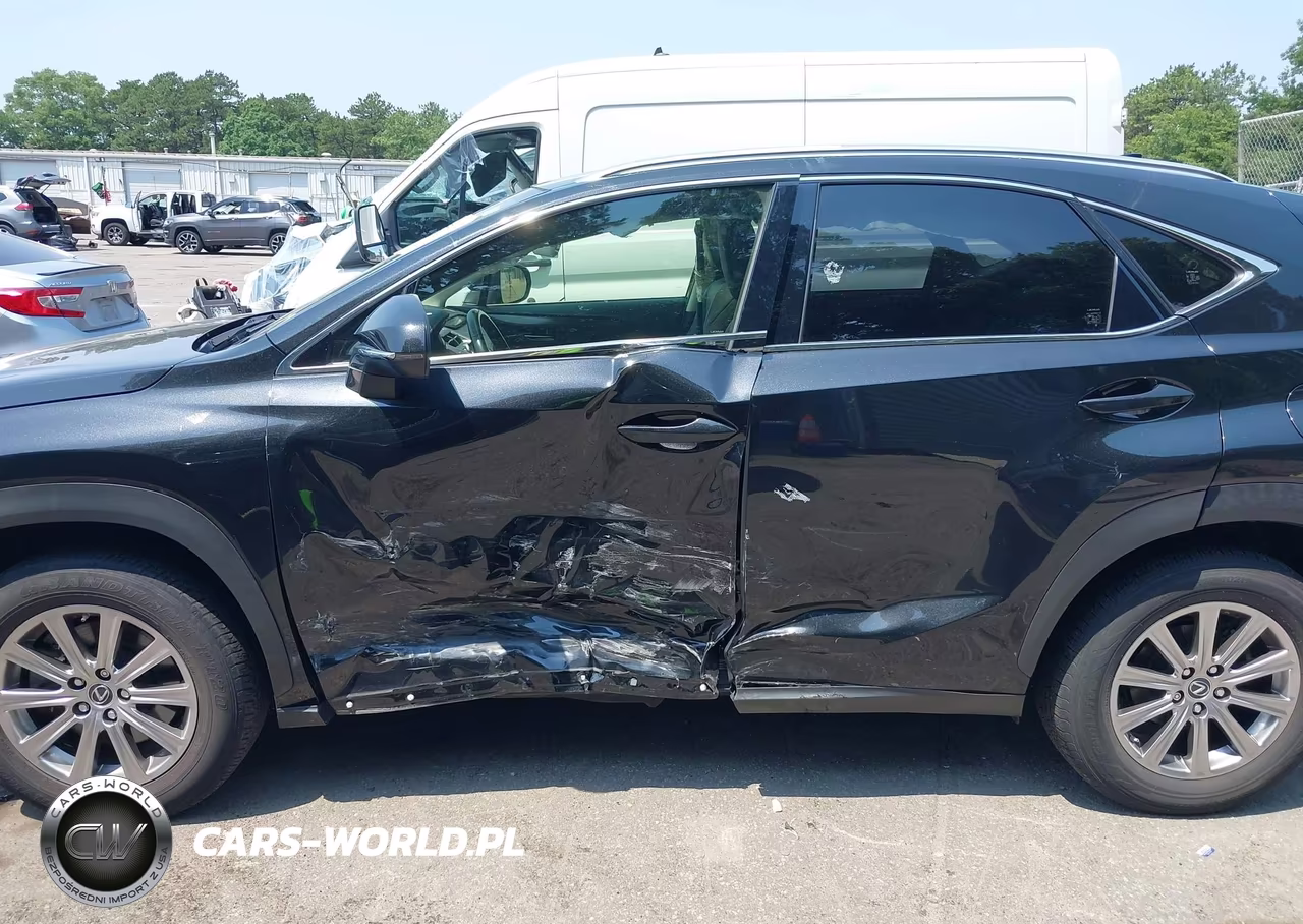 2020 Lexus Nx 300 VIN:JTJDARDZ8L5017354 - 19