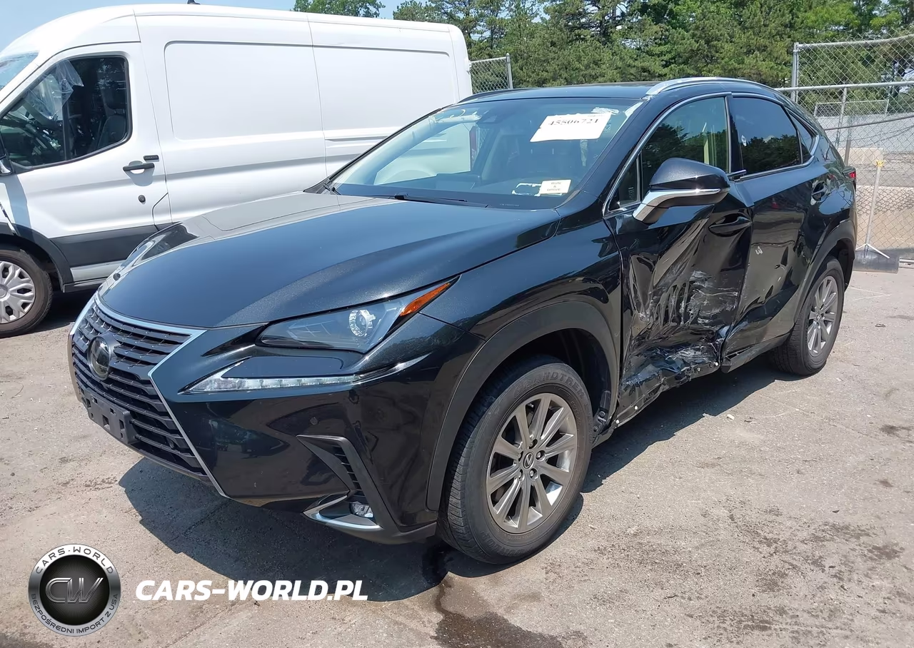 2020 Lexus Nx 300 VIN:JTJDARDZ8L5017354 - 2