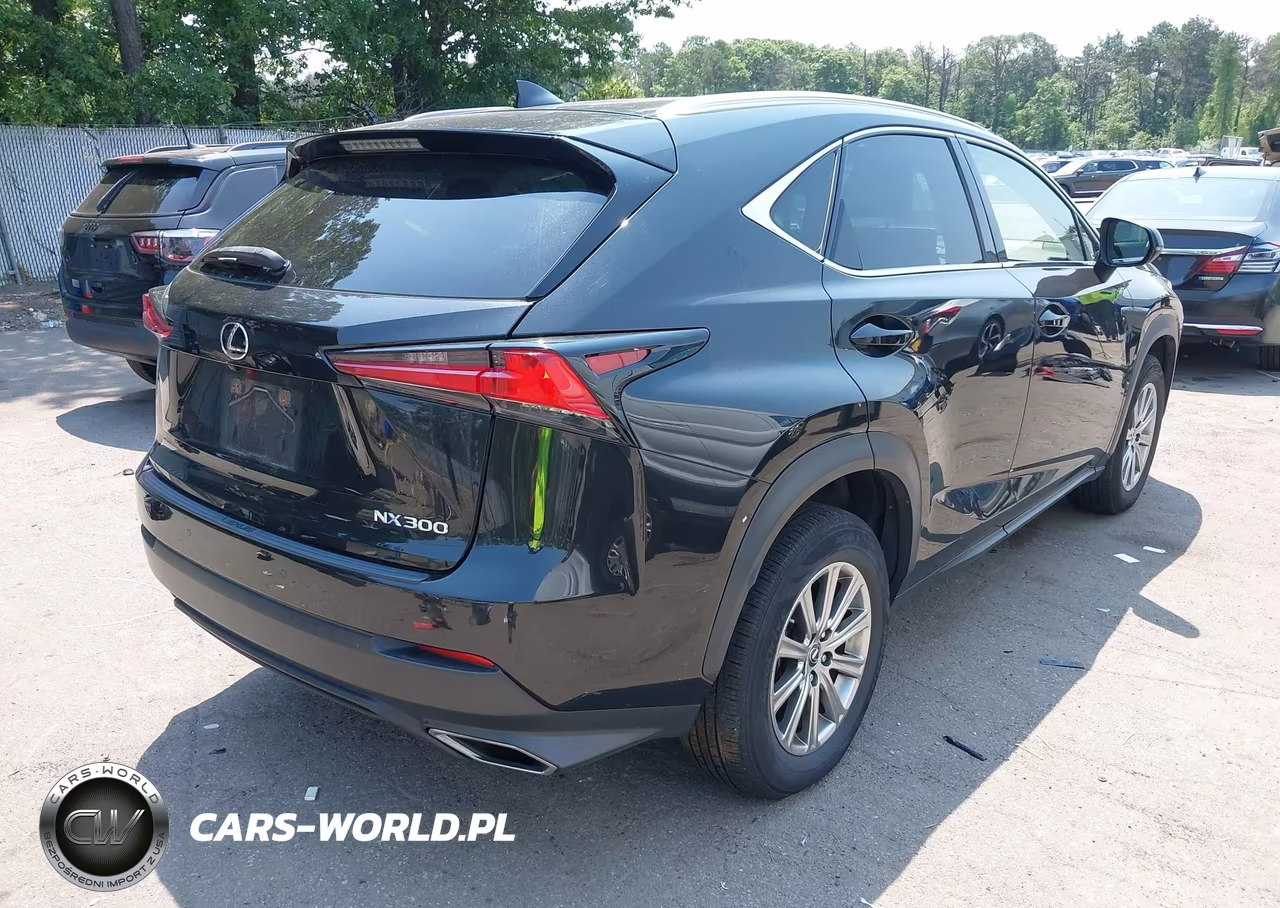 2020 Lexus Nx 300 VIN:JTJDARDZ8L5017354 - 4