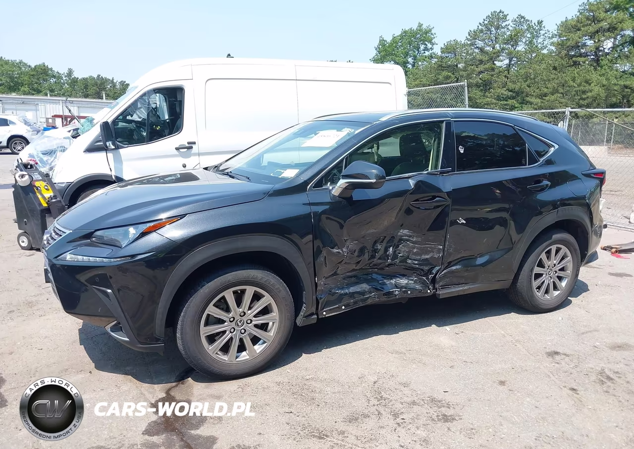 2020 Lexus Nx 300 VIN:JTJDARDZ8L5017354 - 6