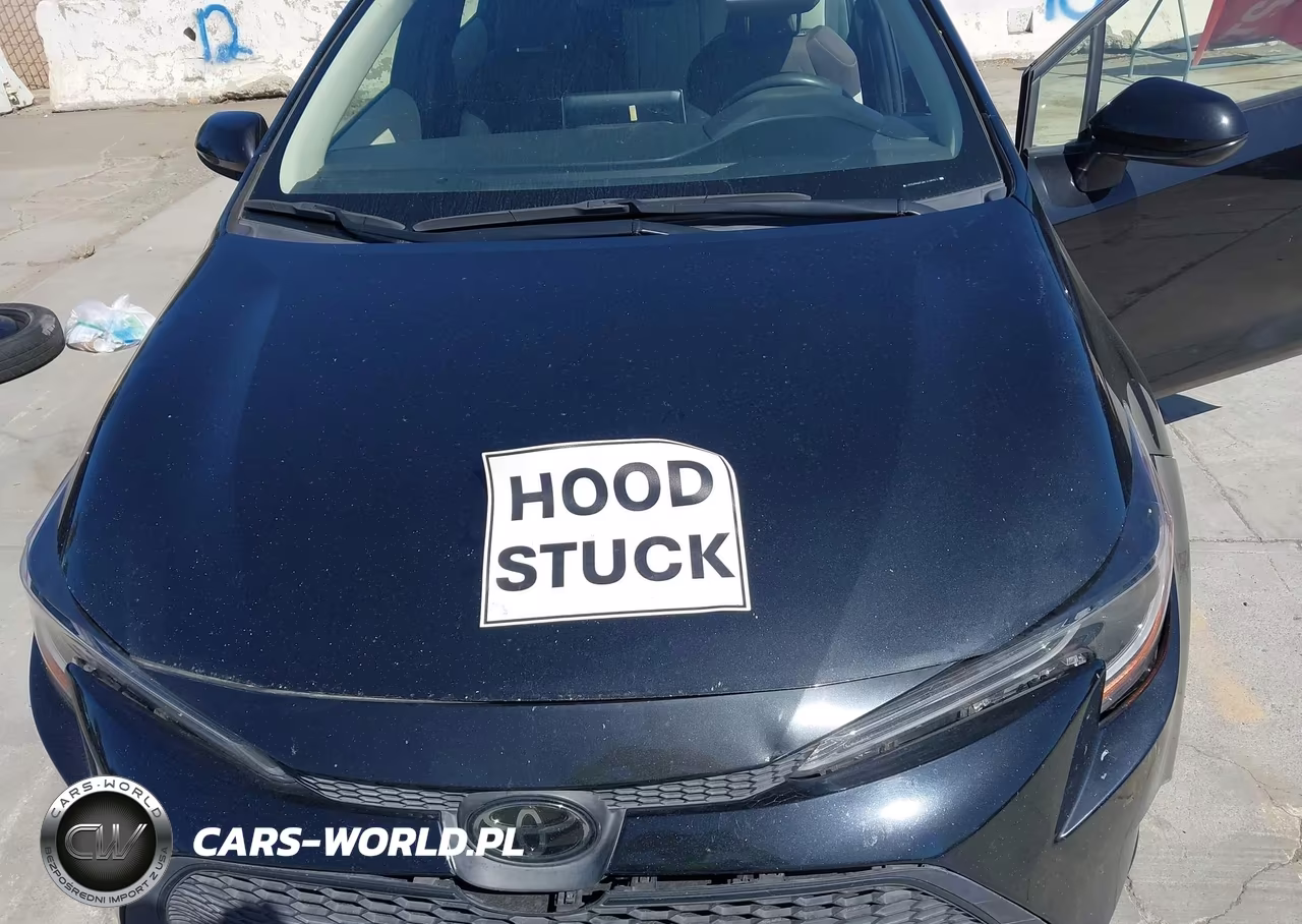 2021 Toyota Corolla Le VIN:JTDVPMAE4MJ128311 - 10