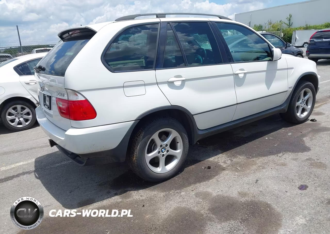 2002 BMW X5 3.0I VIN:5UXFA53532LV70439 - 4