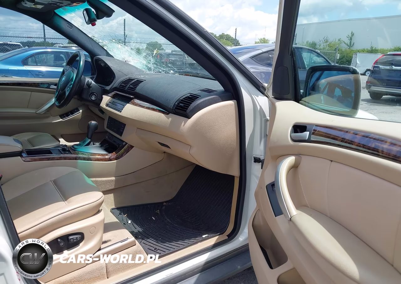 2002 BMW X5 3.0I VIN:5UXFA53532LV70439 - 5