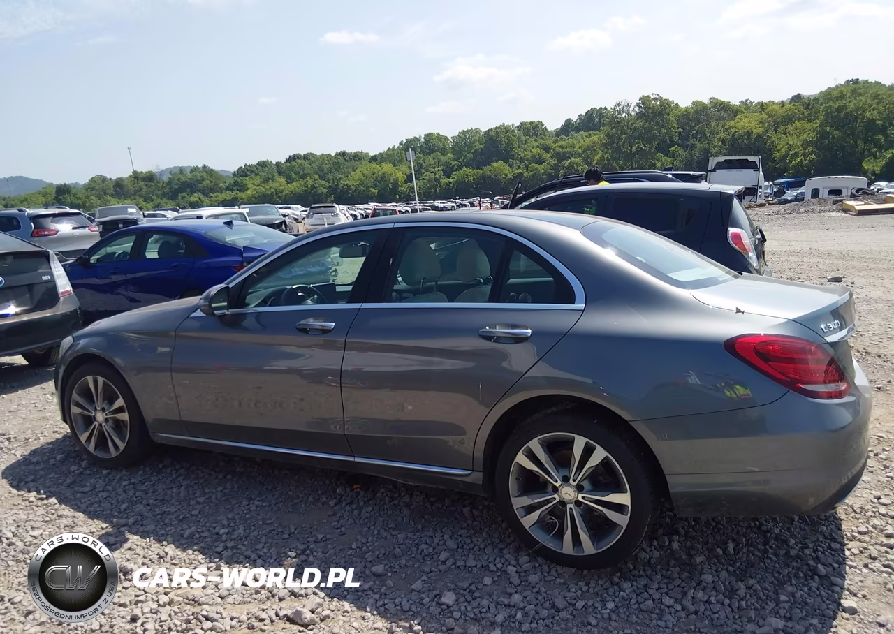 2017 Mercedes-Benz C 300 VIN:55SWF4JB4HU181891 - 14
