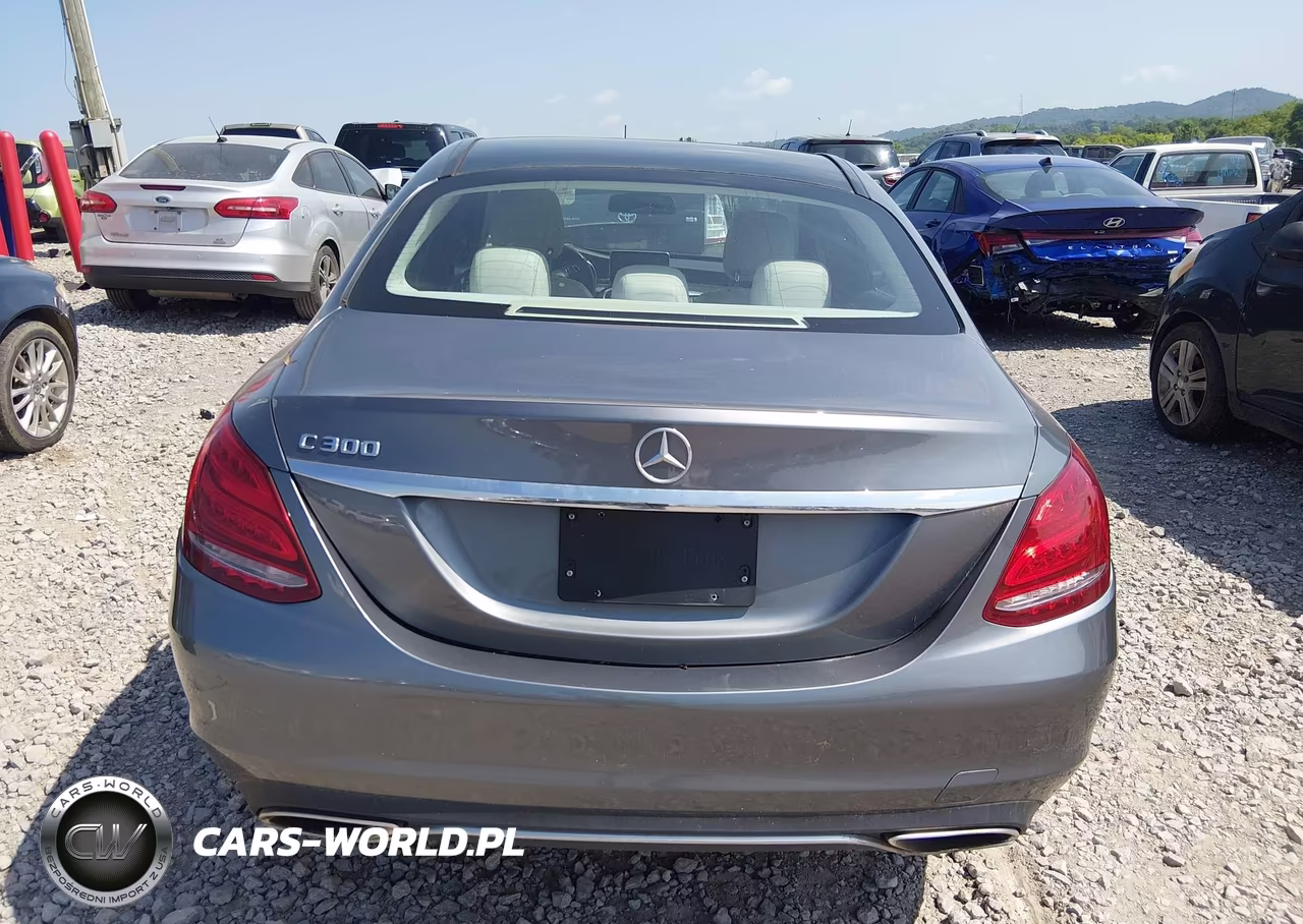 2017 Mercedes-Benz C 300 VIN:55SWF4JB4HU181891 - 16