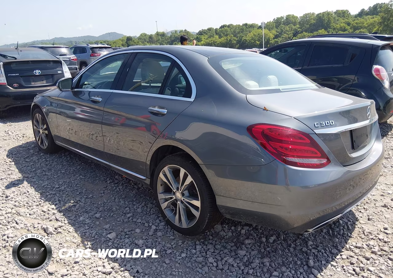 2017 Mercedes-Benz C 300 VIN:55SWF4JB4HU181891 - 3