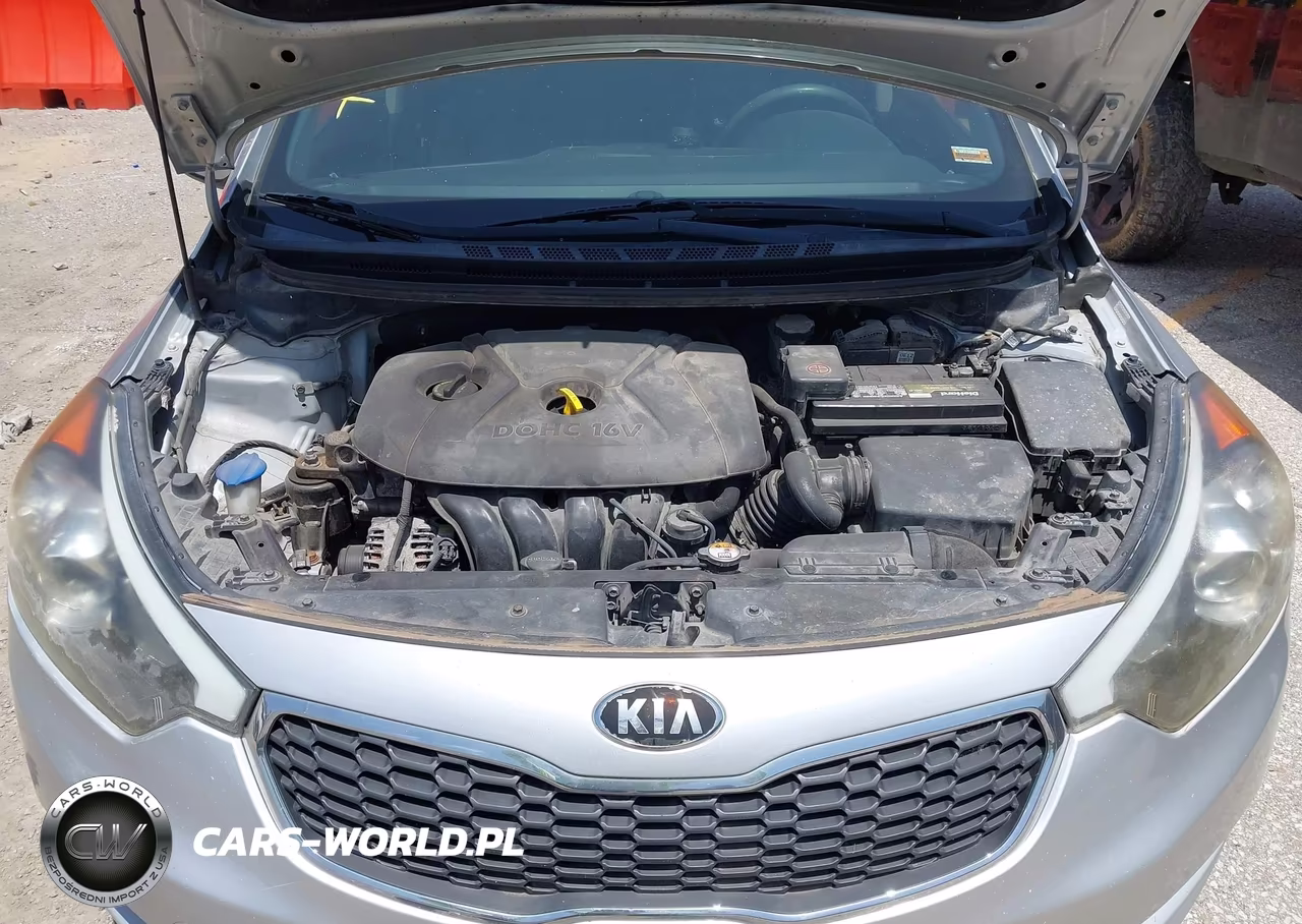 2015 Kia Forte Lx VIN:KNAFX4A69F5263127 - 10