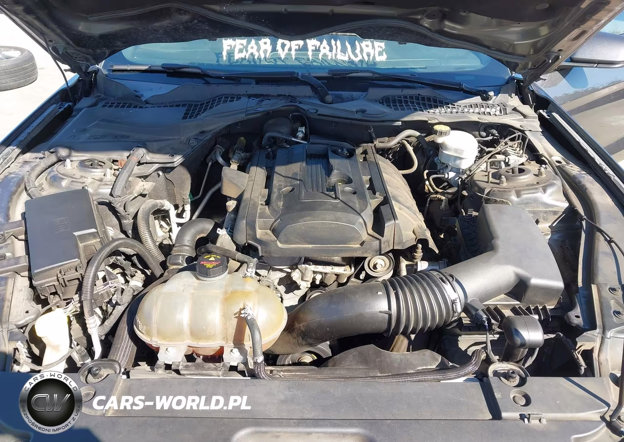 2017 Ford Mustang Ecoboost VIN:1FA6P8TH7H5340661 - 10