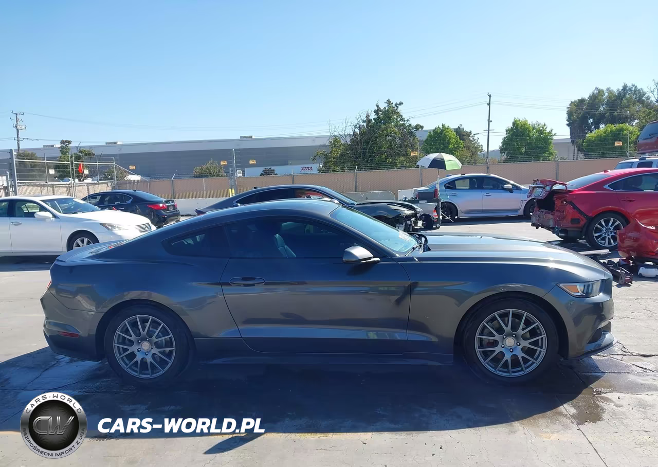 2017 Ford Mustang Ecoboost VIN:1FA6P8TH7H5340661 - 13