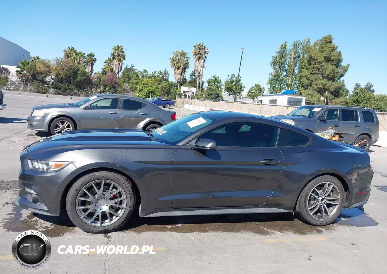 2017 Ford Mustang Ecoboost VIN:1FA6P8TH7H5340661 - 14