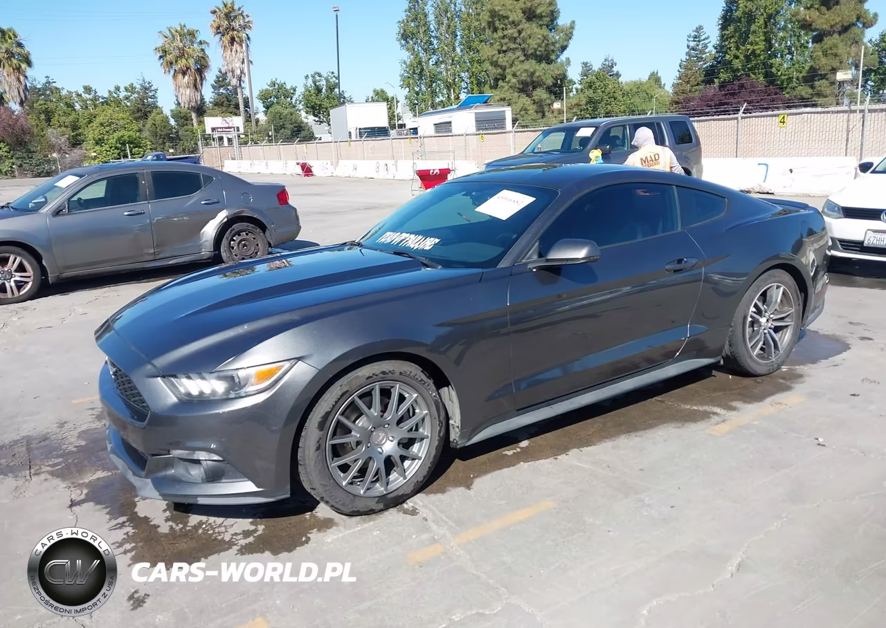 2017 Ford Mustang Ecoboost VIN:1FA6P8TH7H5340661 - 2