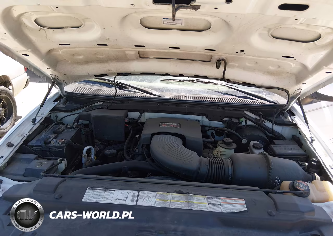 1998 Ford Expedition Eddie Bauer-Xlt VIN:1FMEU17L1WLA01404 - 10