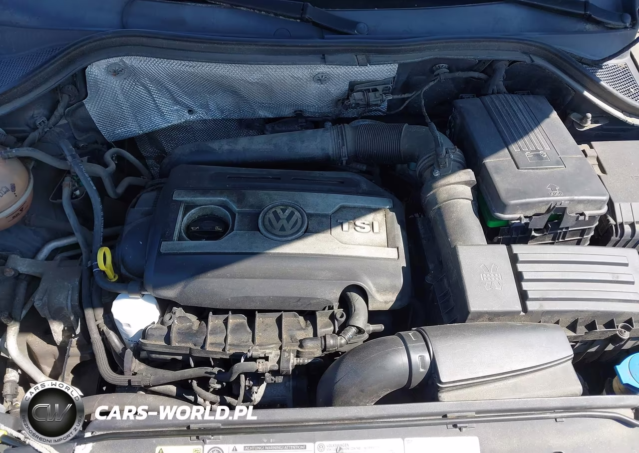 2014 Volkswagen Tiguan S VIN:WVGAV3AX3EW620263 - 10