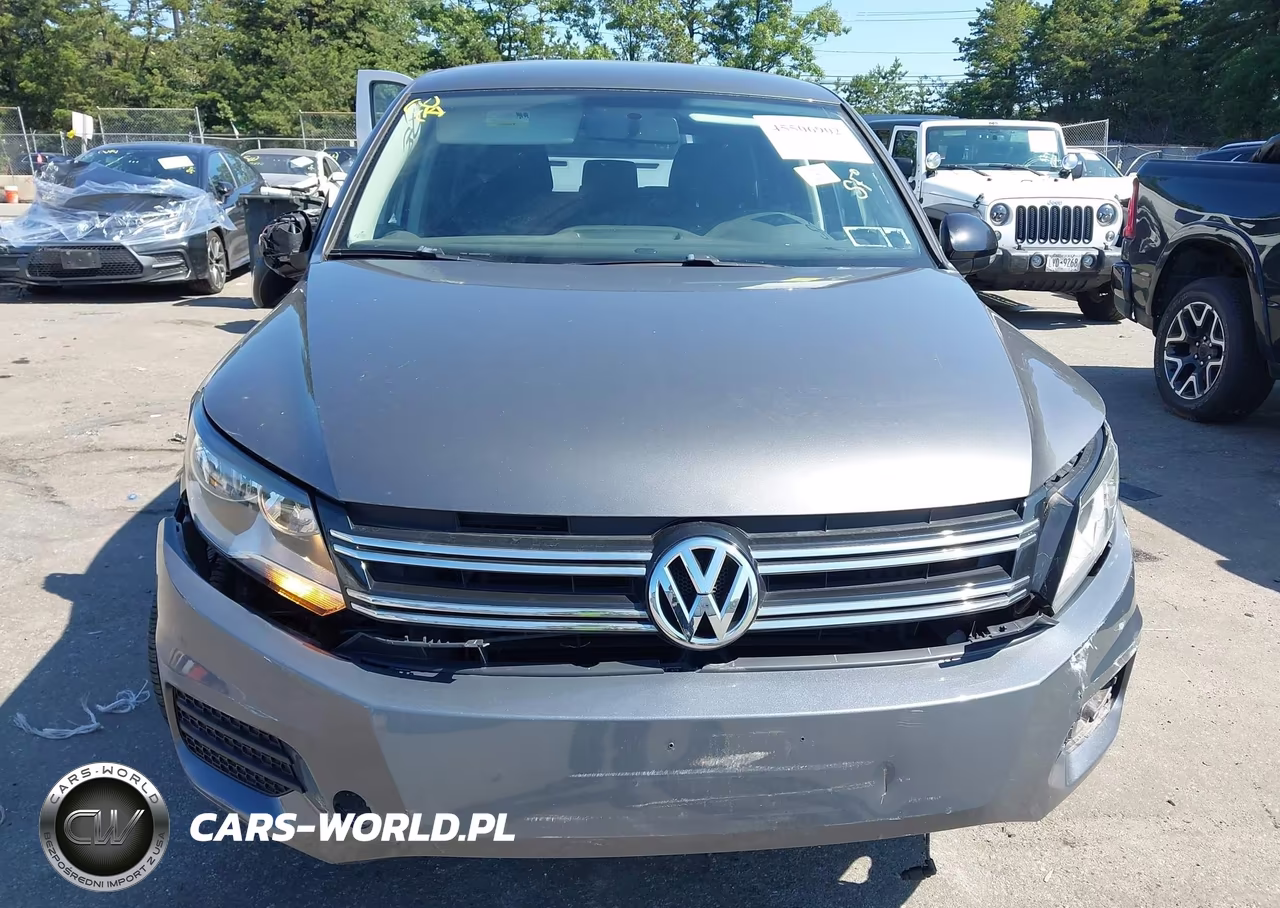 2014 Volkswagen Tiguan S VIN:WVGAV3AX3EW620263 - 12