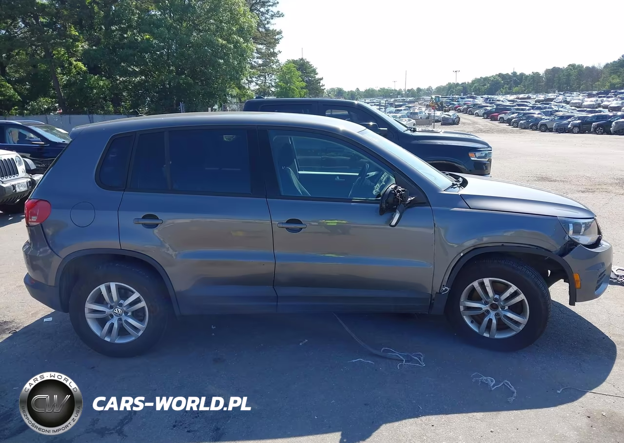2014 Volkswagen Tiguan S VIN:WVGAV3AX3EW620263 - 13