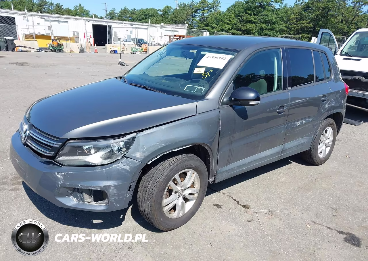 2014 Volkswagen Tiguan S VIN:WVGAV3AX3EW620263 - 2