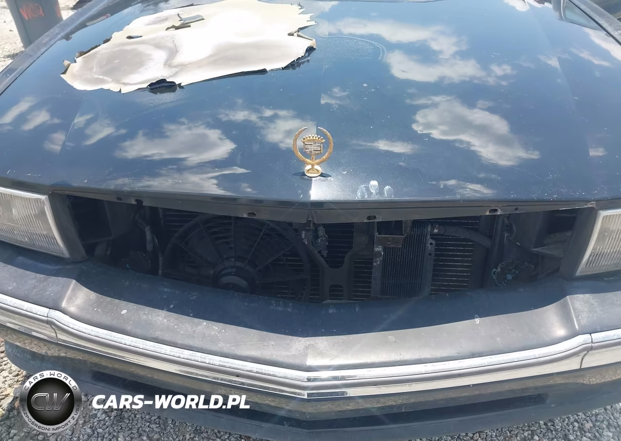 1995 Cadillac Deville VIN:1G6KD52B4SU203593 - 12