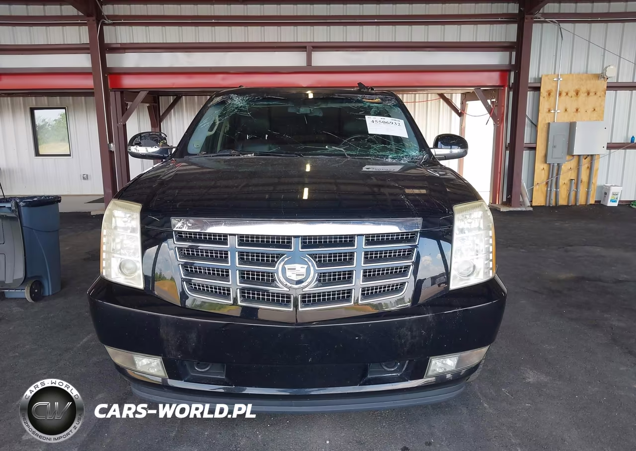 2010 Cadillac Escalade Luxury VIN:1GYUKBEF1AR259382 - 11
