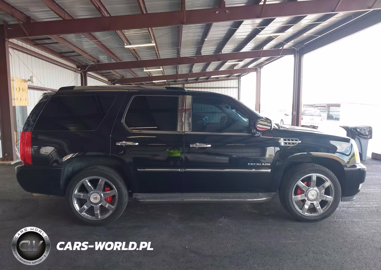 2010 Cadillac Escalade Luxury VIN:1GYUKBEF1AR259382 - 12