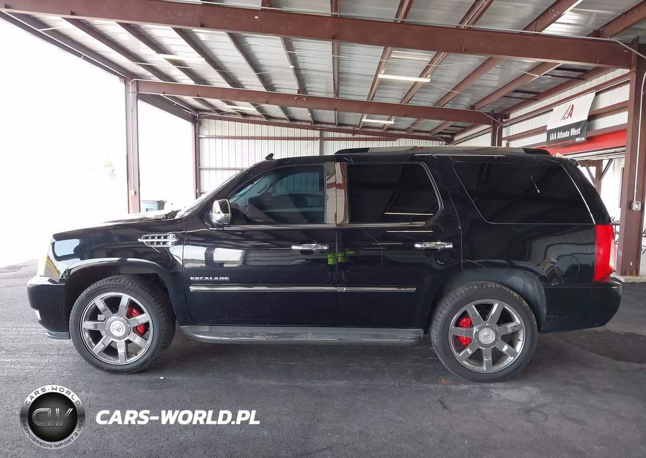 2010 Cadillac Escalade Luxury VIN:1GYUKBEF1AR259382 - 13