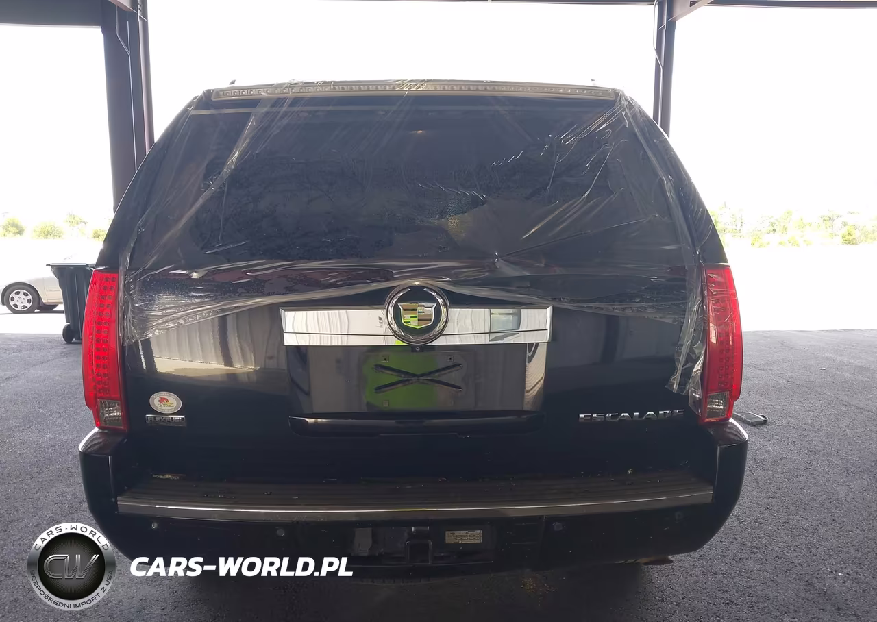 2010 Cadillac Escalade Luxury VIN:1GYUKBEF1AR259382 - 15