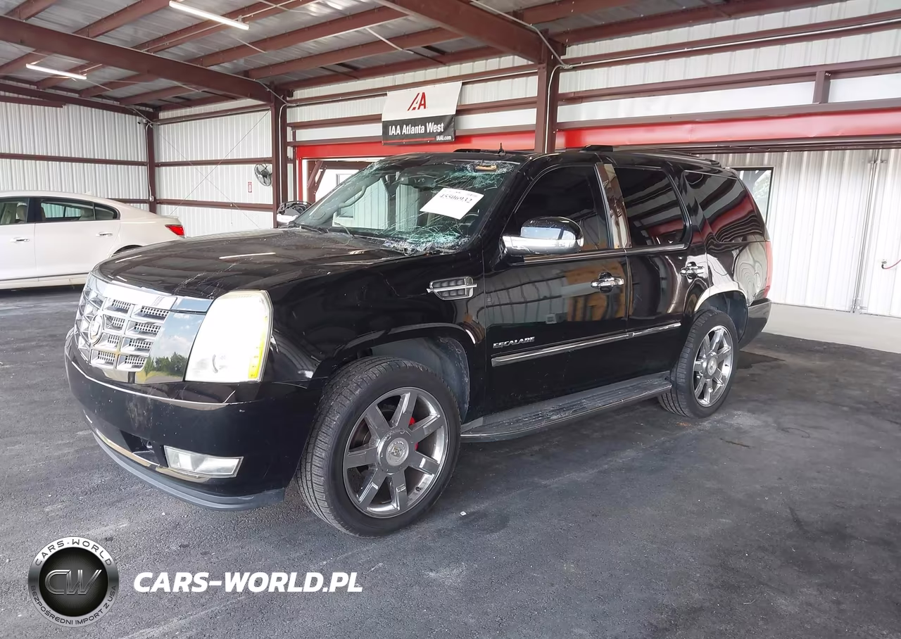 2010 Cadillac Escalade Luxury VIN:1GYUKBEF1AR259382 - 2