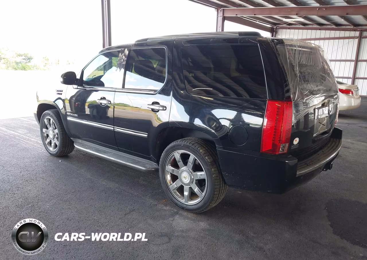 2010 Cadillac Escalade Luxury VIN:1GYUKBEF1AR259382 - 3