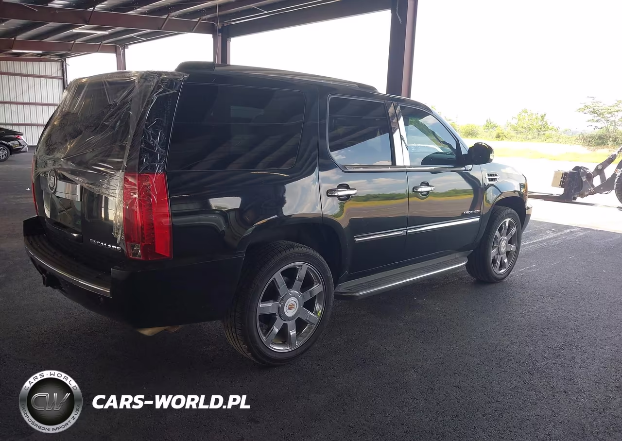 2010 Cadillac Escalade Luxury VIN:1GYUKBEF1AR259382 - 4