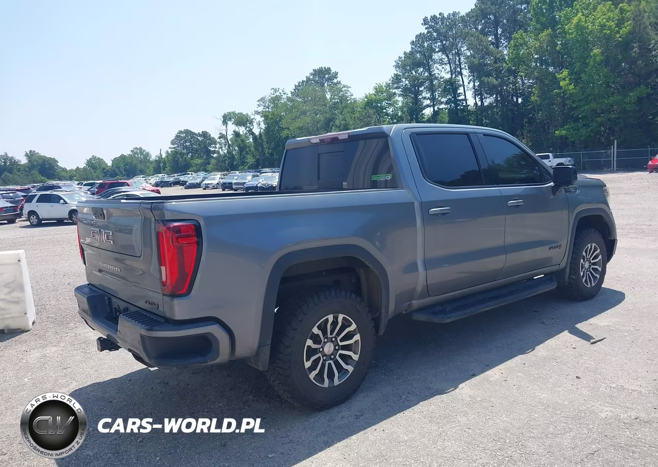 2020 GMC Sierra 1500 4Wd Short Box At4 VIN:1GTP9EEL8LZ340372 - 4