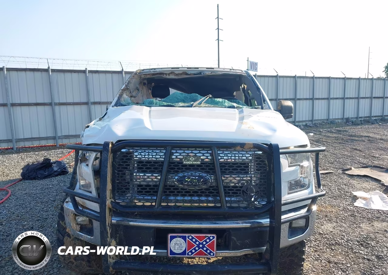 2017 Ford F-150 Xlt VIN:1FTEW1EG4HFB92161 - 12
