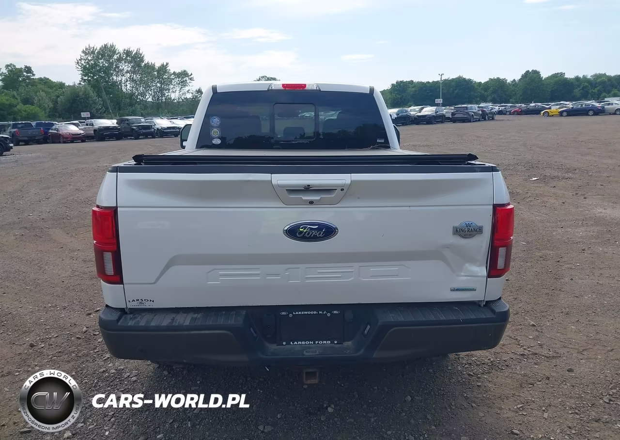 2019 Ford F-150 King Ranch VIN:1FTFW1E49KFC74775 - 16