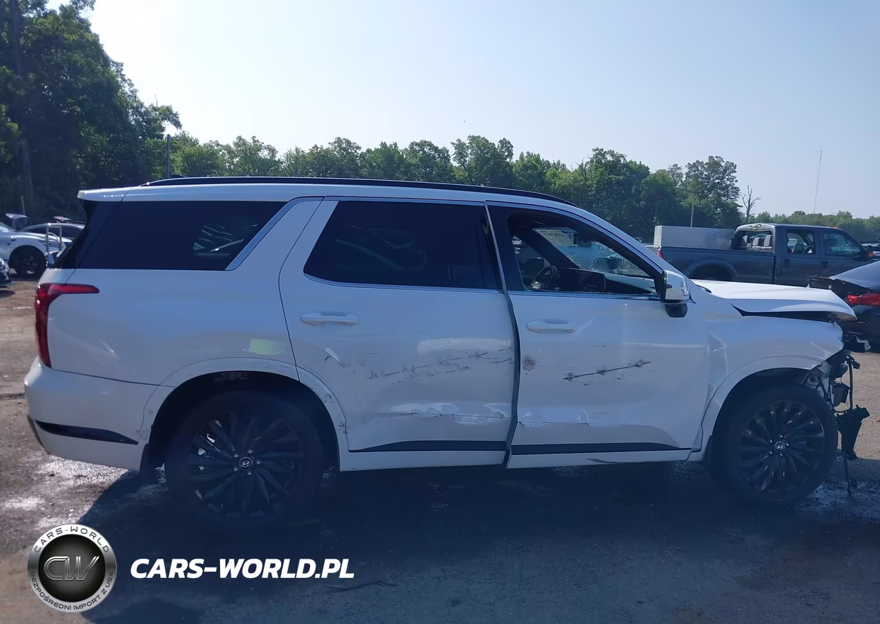 2025 Hyundai Palisade Calligraphy Night Edition VIN:KM8R7DGE3SU924743 - 14