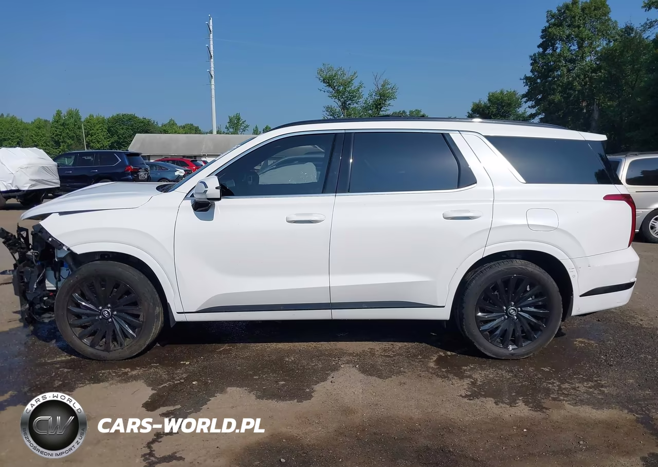 2025 Hyundai Palisade Calligraphy Night Edition VIN:KM8R7DGE3SU924743 - 15